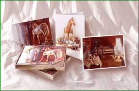 The Skin Horse Note Card Collection by Donna Green